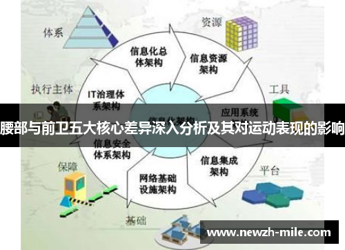 腰部与前卫五大核心差异深入分析及其对运动表现的影响