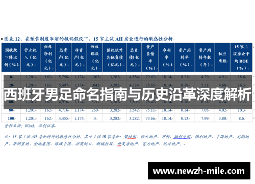 西班牙男足命名指南与历史沿革深度解析