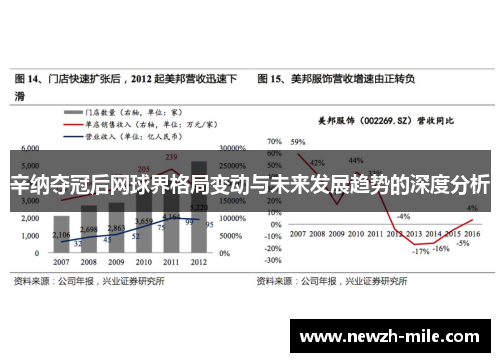 辛纳夺冠后网球界格局变动与未来发展趋势的深度分析