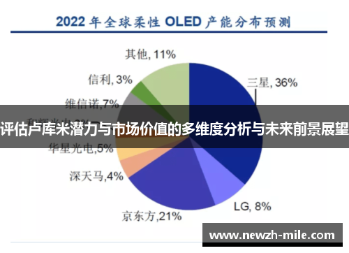 评估卢库米潜力与市场价值的多维度分析与未来前景展望