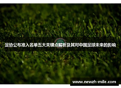 足协公布准入名单五大关键点解析及其对中国足球未来的影响