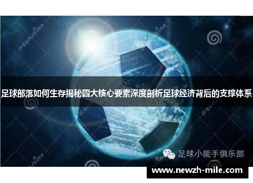 足球部落如何生存揭秘四大核心要素深度剖析足球经济背后的支撑体系