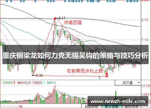 重庆铜梁龙如何力克无锡吴钩的策略与技巧分析